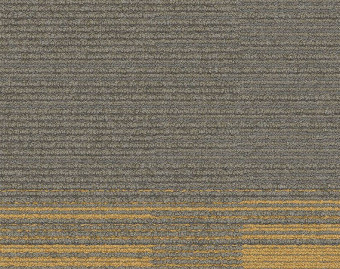 [300111135_8] Off Line - 104333 Sage/Canary